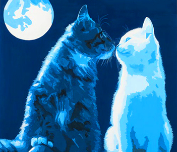 Leinwandbild Direkt Art HOSEUS, Katzen 50 x 50