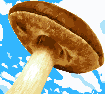 Leinwandbild Glückspilz 0,6 x 0,6, Kunst: HOSEUS macht Direkt Art: Leinwandbilder, Skulpturen. Pilz mit Wolken im Hintergrund, HOSEUS ist ein Künstlerpaar in München und erschafft seine Werke mit Fusionstechnik